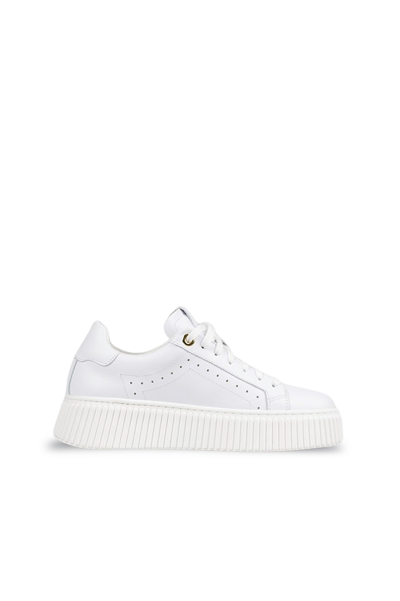 White leather women's Lestrosa sneakers